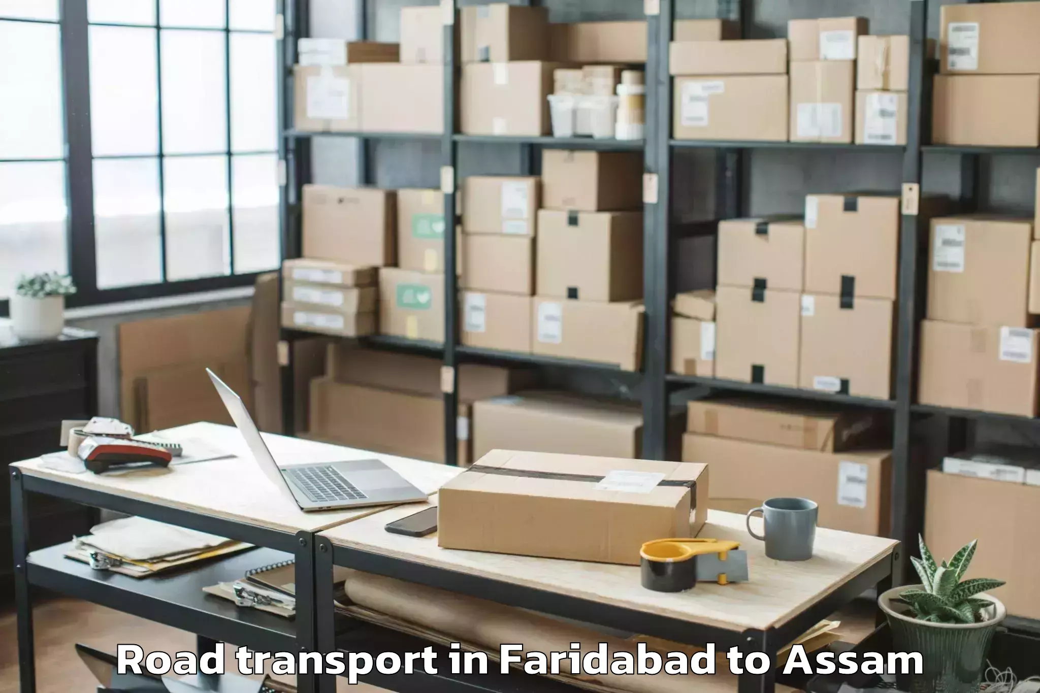 Hassle-Free Faridabad to Silapathar Road Transport